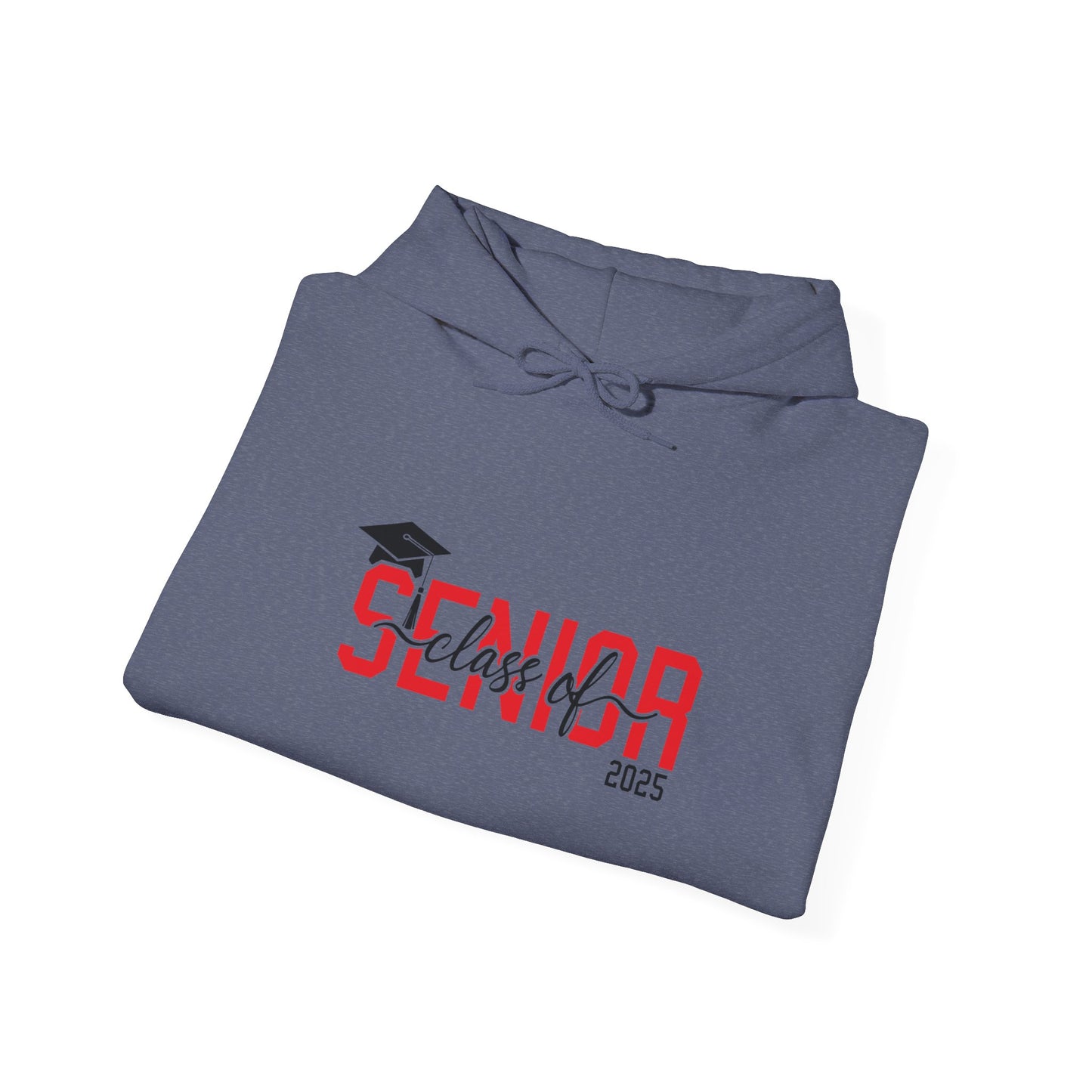Graduating Senior 2025 Hoodie with retro design on back (Red Logo)