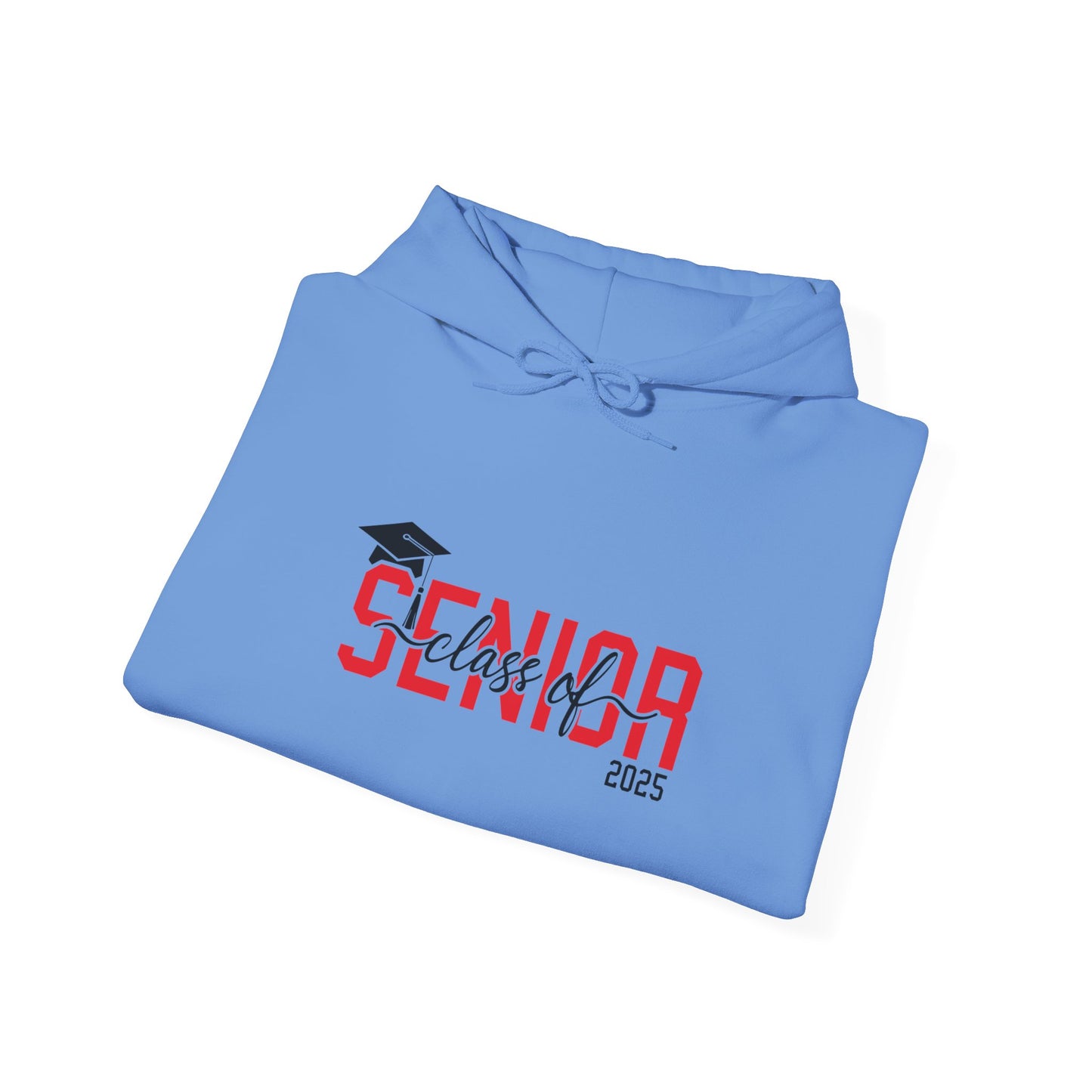 Graduating Senior 2025 Hoodie with retro design on back (Red Logo)