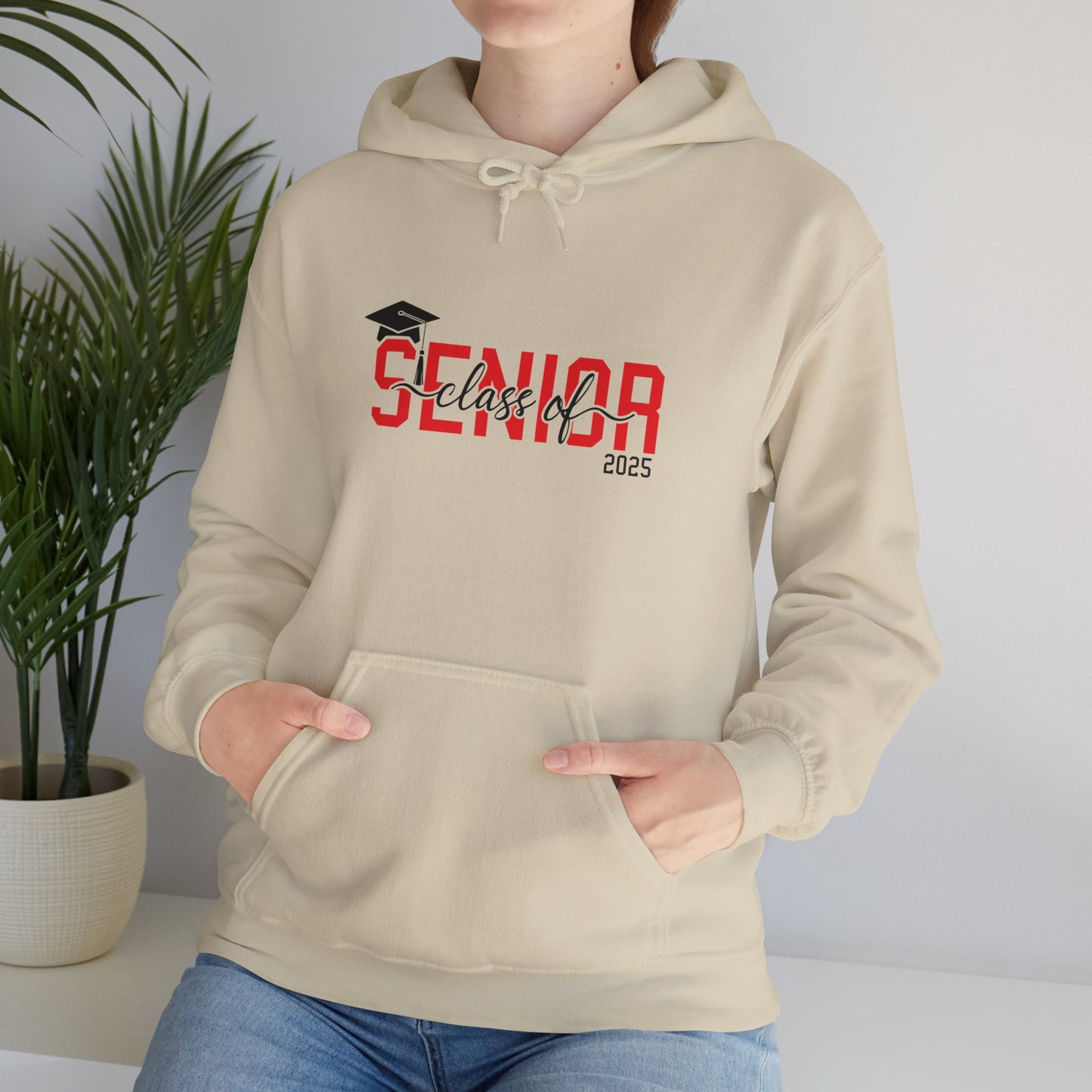 Graduating Senior 2025 Hoodie with retro design on back (Red Logo)
