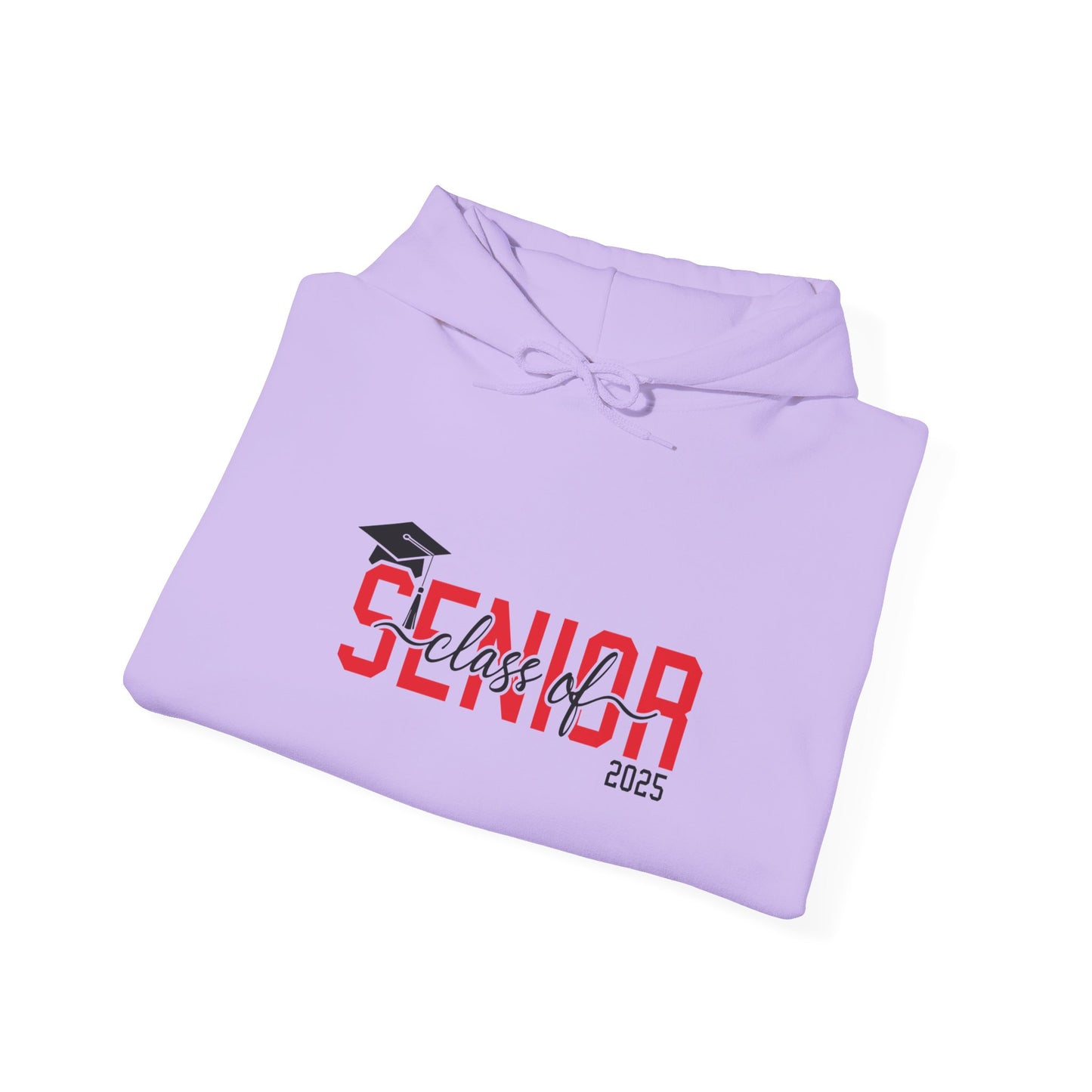 Graduating Senior 2025 Hoodie with retro design on back (Red Logo)