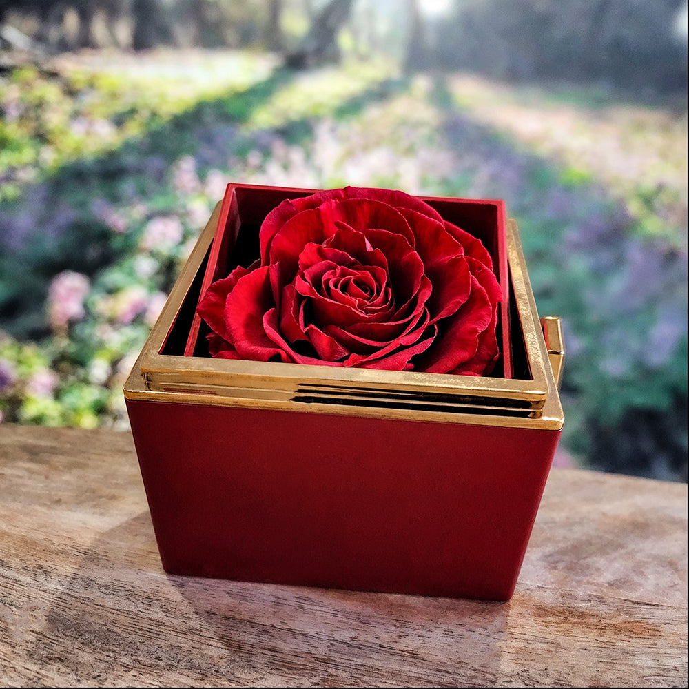 To My Love on Mother's Day_In Your Eyes, I Have Found My Home...-Love Knot with Rotating Rose Gift Box Necklace